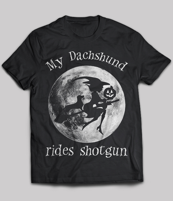 My dachshund rides shotgun