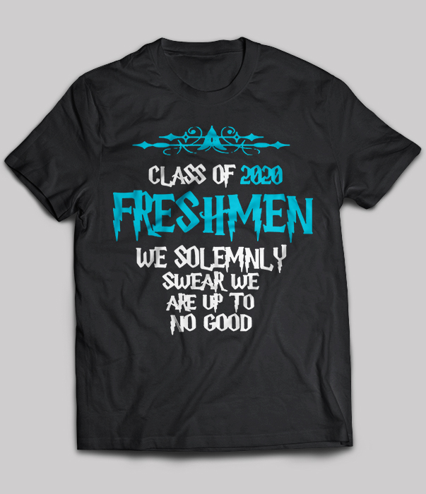 Class Of 2020 Freshmen We Solemnly Swear We Are Up To No Good