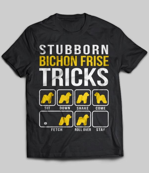 Stubborn Bichon Frise Tricks