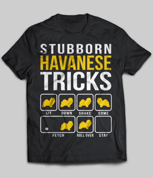 Stubborn Havanese Tricks