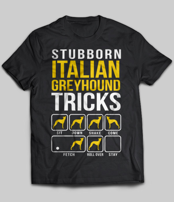 Stubborn Italian Greyhound Tricks