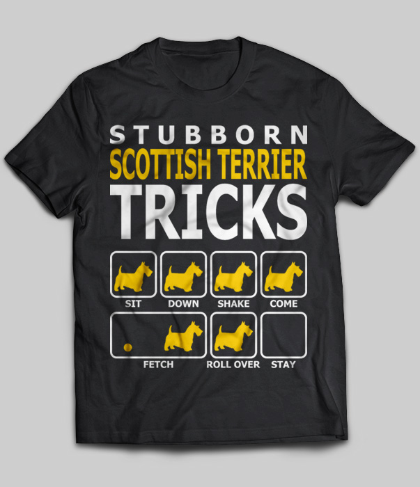 Stubborn Scottish Terrier Tricks