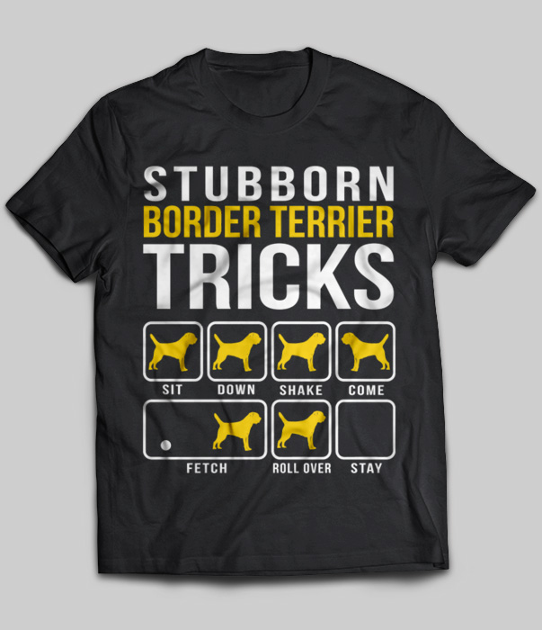 Stubborn Border Terrier Tricks