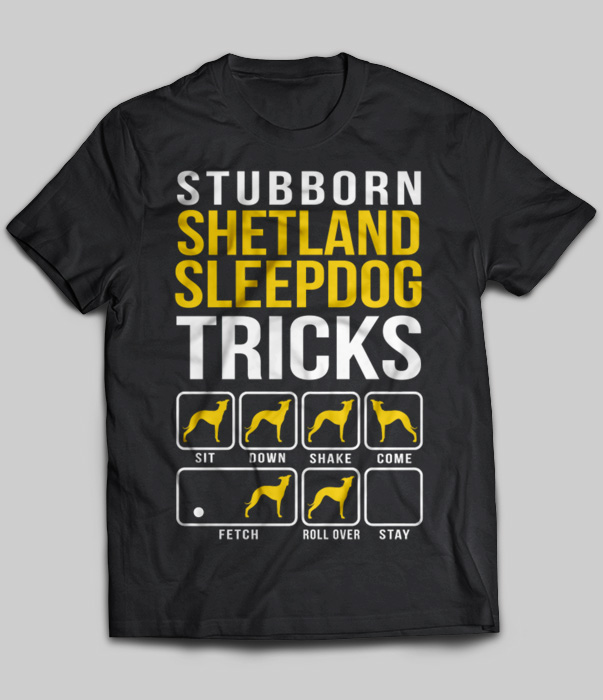 Stubborn Shetland Sleepdog Tricks