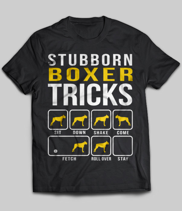 Stubborn Boxer Tricks
