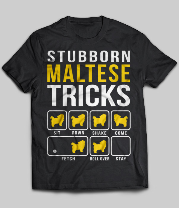 Stubborn Maltese Tricks