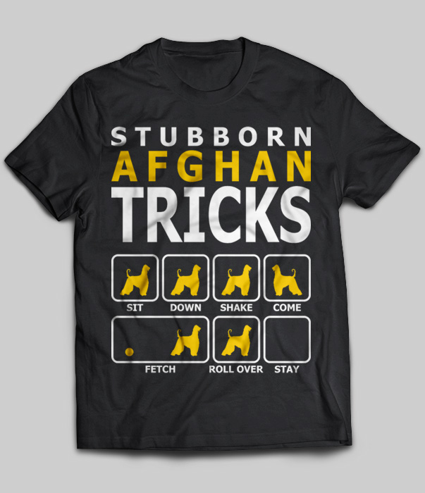 Stubborn Afghan Hound Tricks