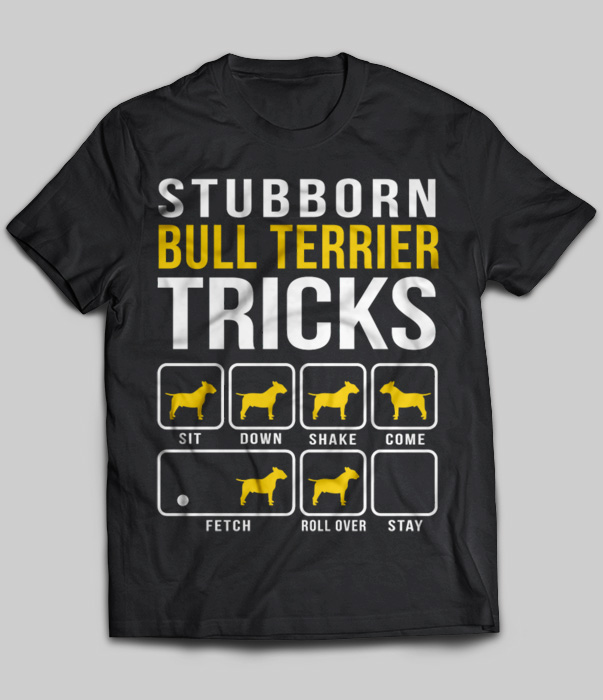 Stubborn Bull Terrier Tricks