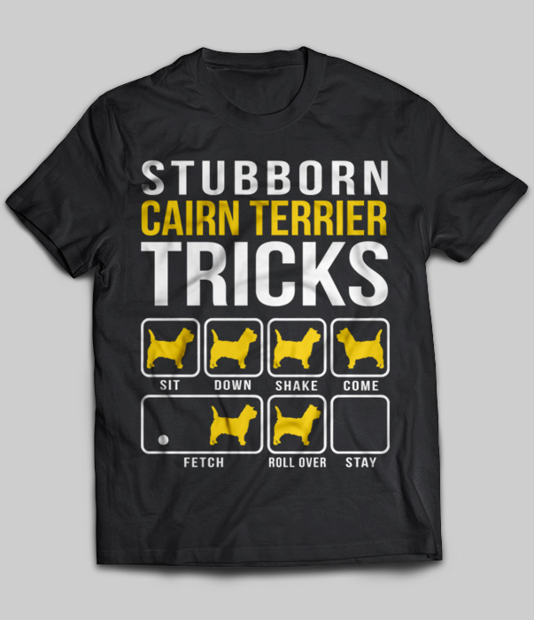Stubborn Cairn Terrier Tricks