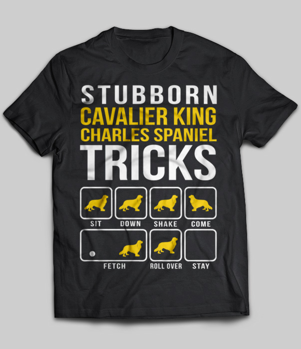 Stubborn Cavalier King Charles Spaniel Tricks