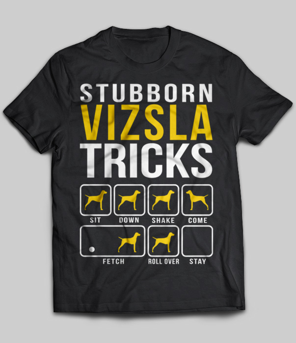 Stubborn Vizsla Tricks