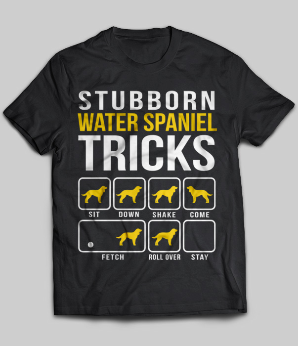 Stubborn Water Spaniel Tricks