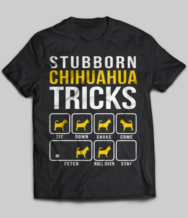 Stubborn Chihuahua Tricks
