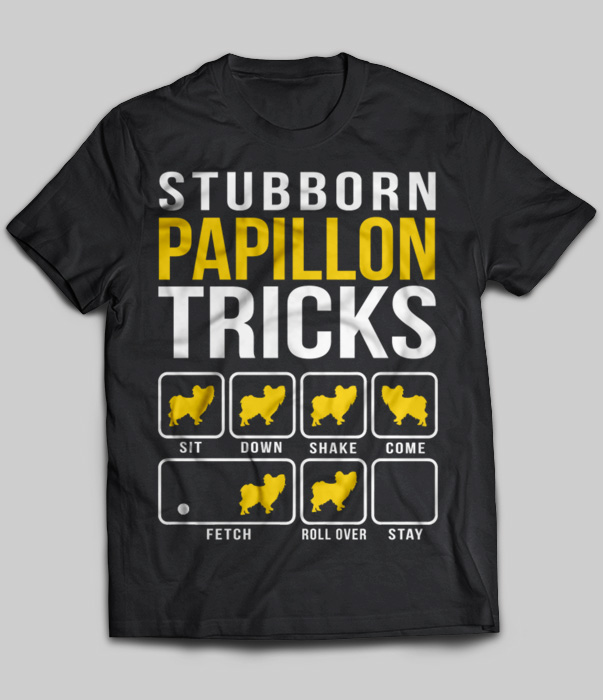 Stubborn Papillon Tricks
