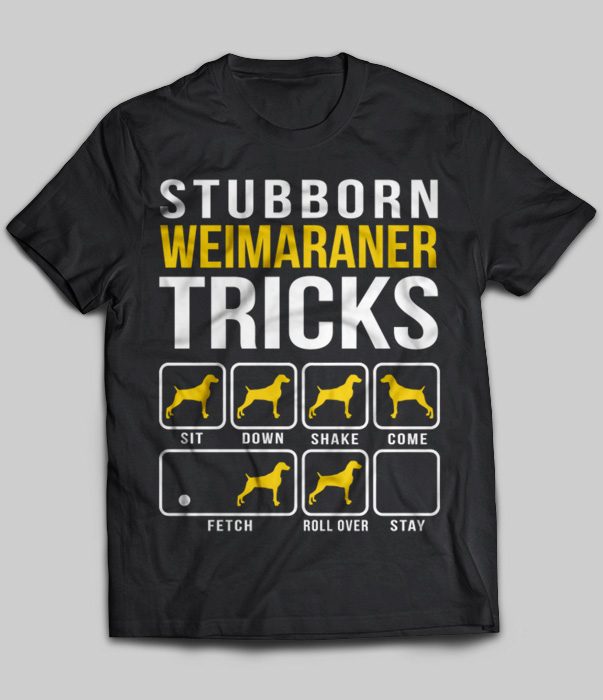 Stubborn Weimaraner Tricks
