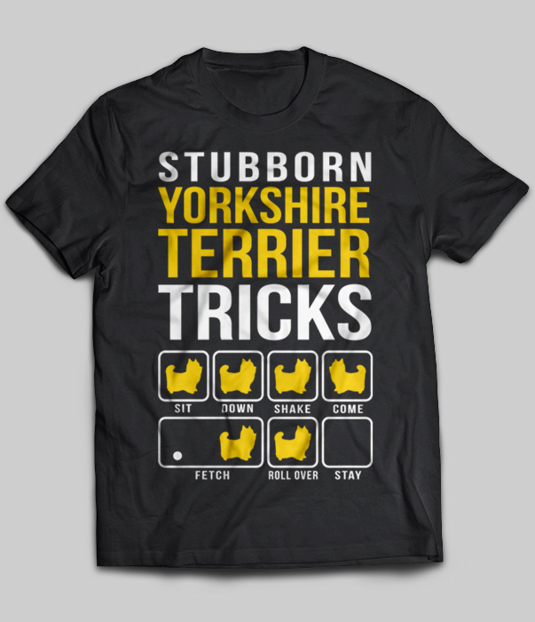 Stubborn Yorkshire Terrier Tricks
