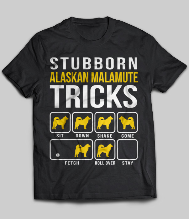 Stubborn Alaska Malamute Tricks
