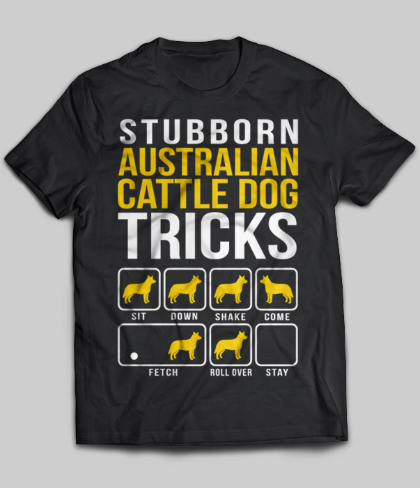 Stubborn Australian Cattle Tricks