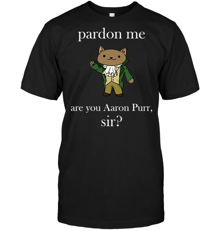 Pardon Me Are You Aaron Purr Sir