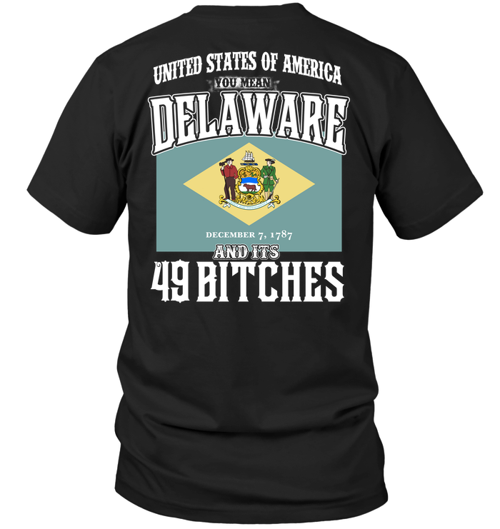 United States Of America You Mean Delaware And Its 49 Bitches