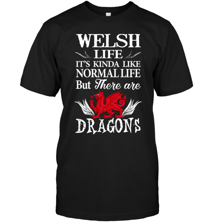 Welsh Life It's Kinda Like Normal Life But There Are Dragons