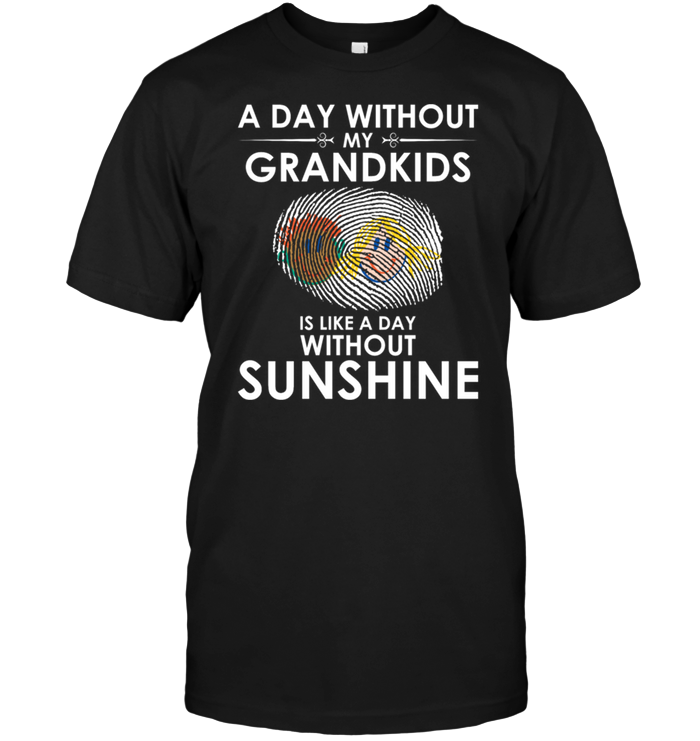 A Day With Out My Grandkids Is Like A Day Without Sunshine