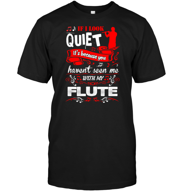 If I Look Quiet It's Because You Havent Seen Me With My Flute