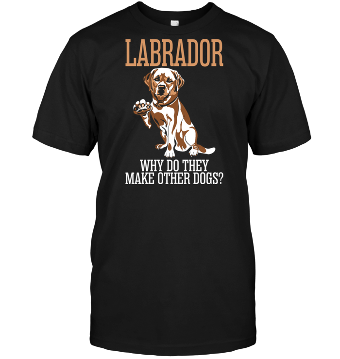 Labrador Why Do They Make Other Dogs
