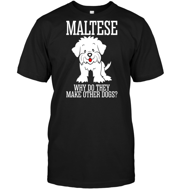 Maltese Why Do They Make Other Dogs