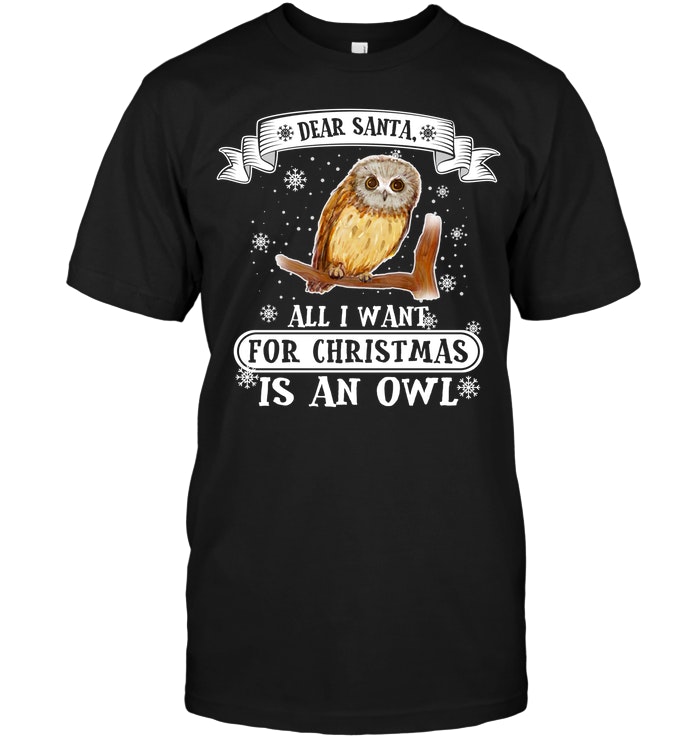 Dear Santa All I Want For Christmas Is An Owl