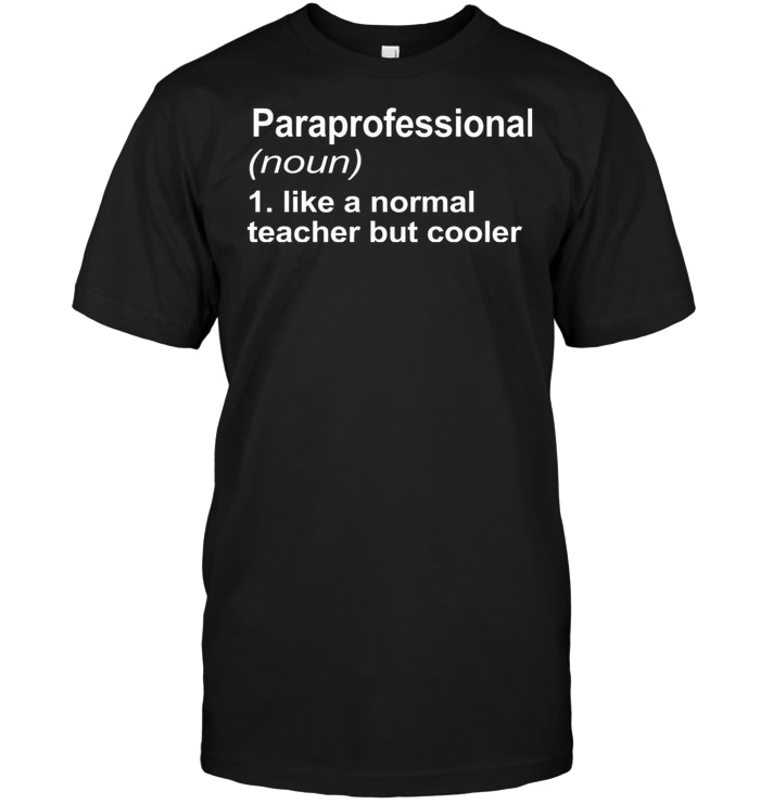 Paraprofessional Definition Like A Normal