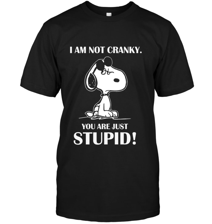 Snoopy - I'm Not Cranky You're Just Stupid