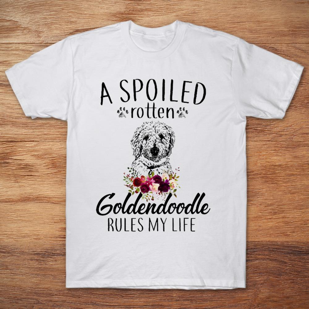 A Spoiled Rotten Goldendoodle Rules My Life