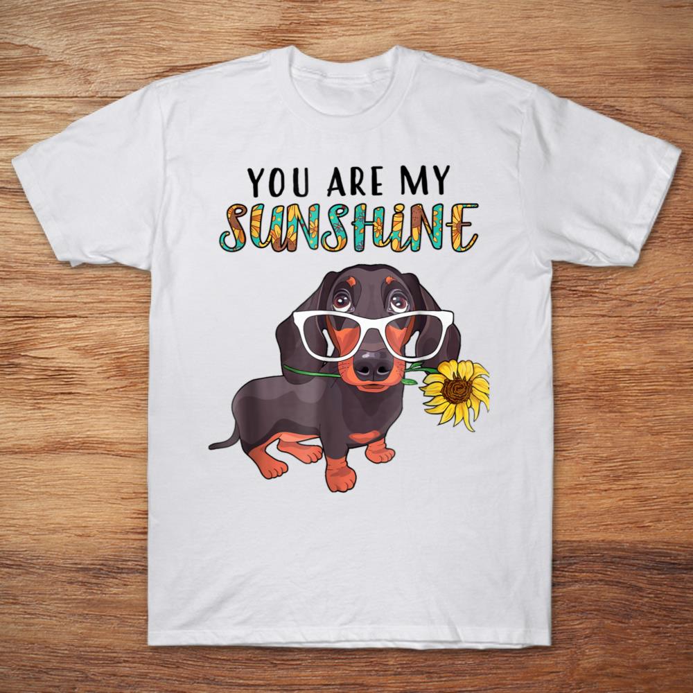 You Are My Sunshine Dachshund With Sunflower