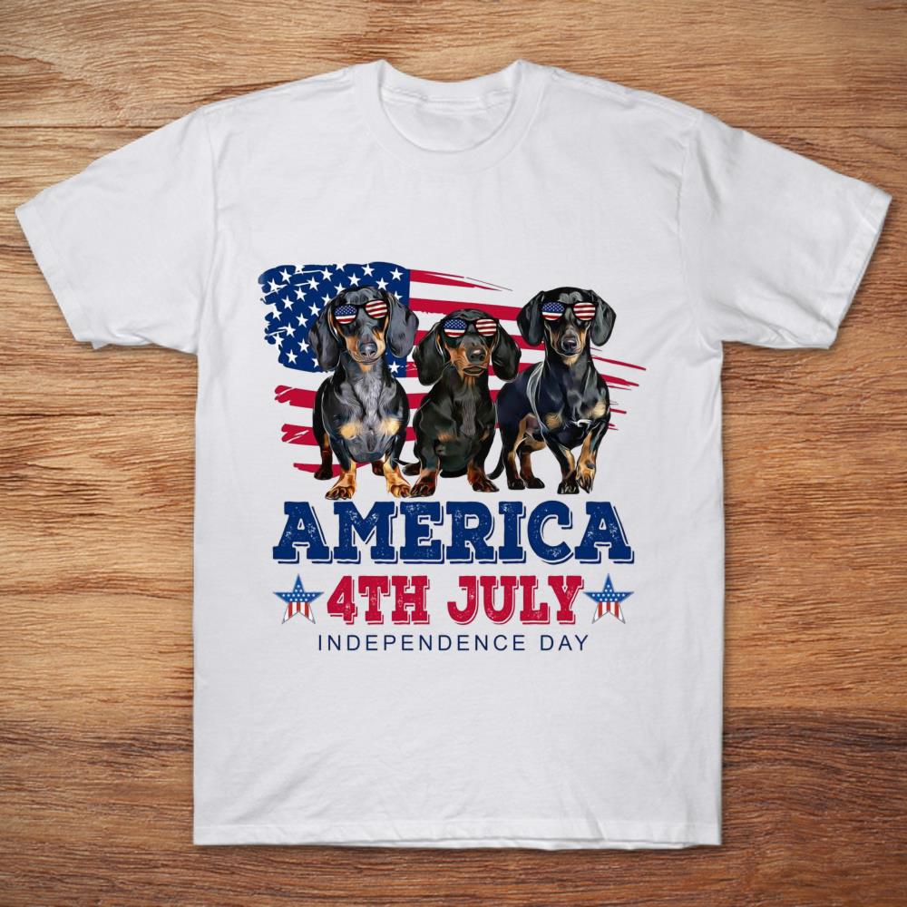 America 4th July Independence Day Dachshund