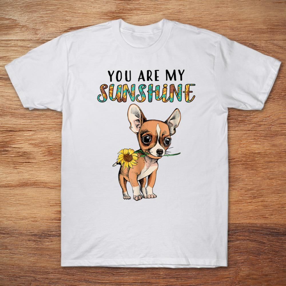 You Are My Sunshine Chihuahua With Sunflower
