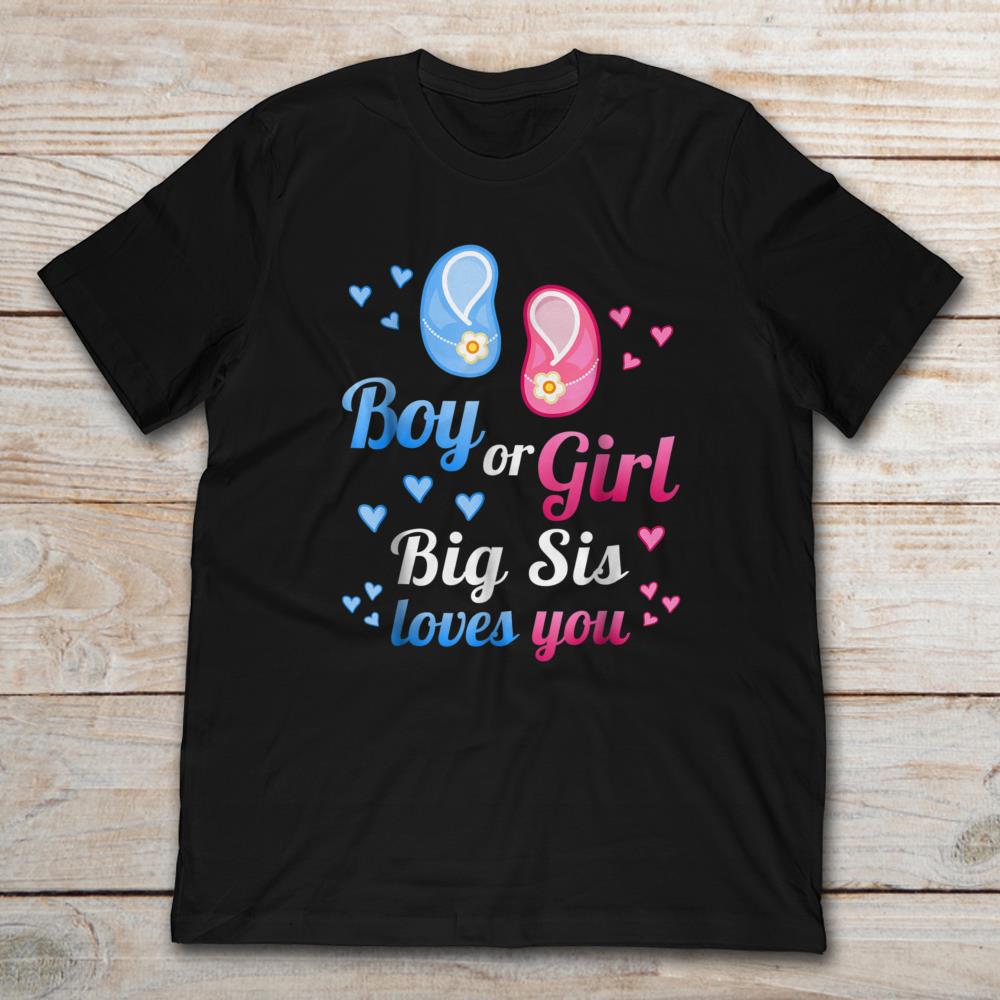 Boy Or Girl Big Sis Loves You