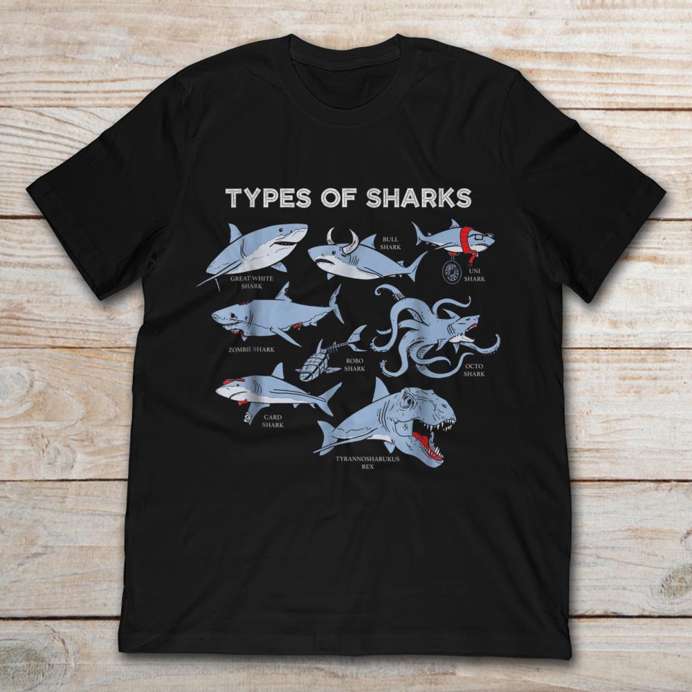 Types Of Sharks Marine Biology