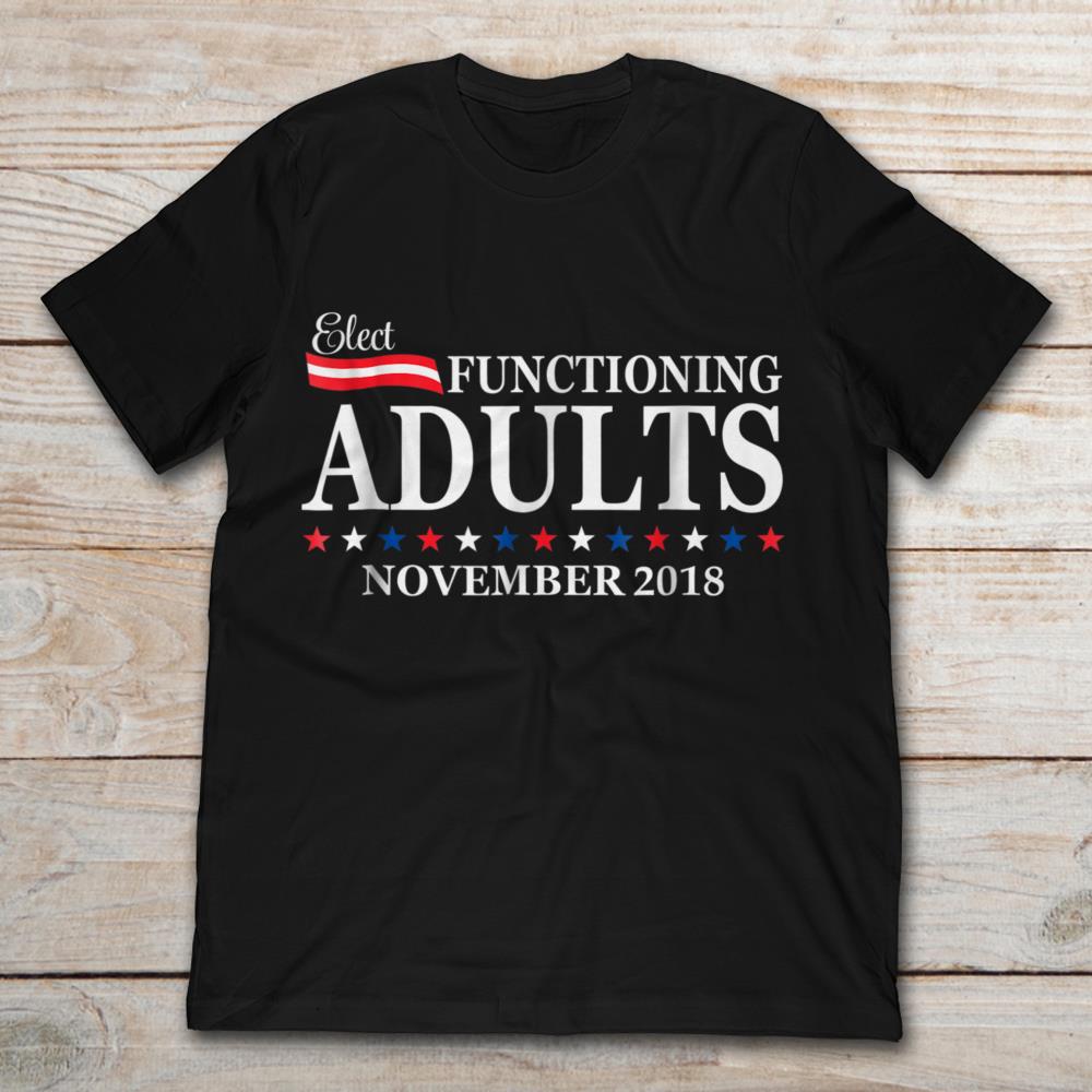Elect Functioning Adults November 2018 Political Election