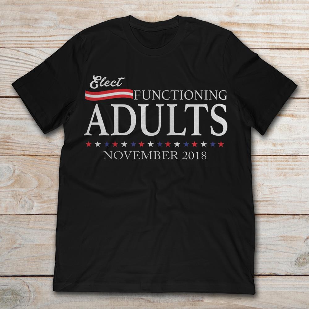 Elect Functioning Adults Blue Vote November 2018