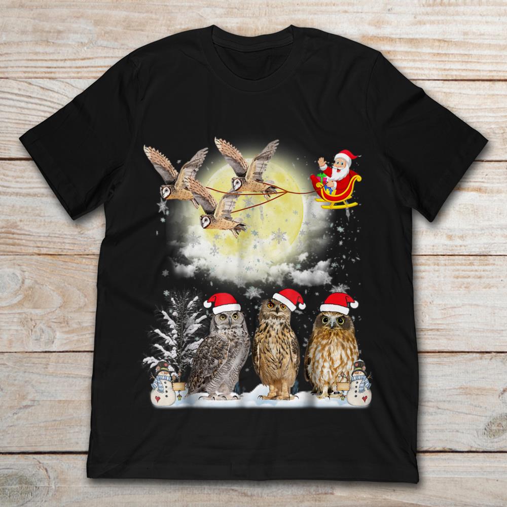 Christmas Night With Owls And Owls Sleigh