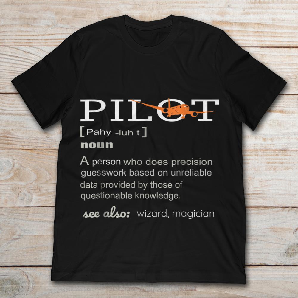 Pilot Noun Definition A Person Who Does Precision Guesswork