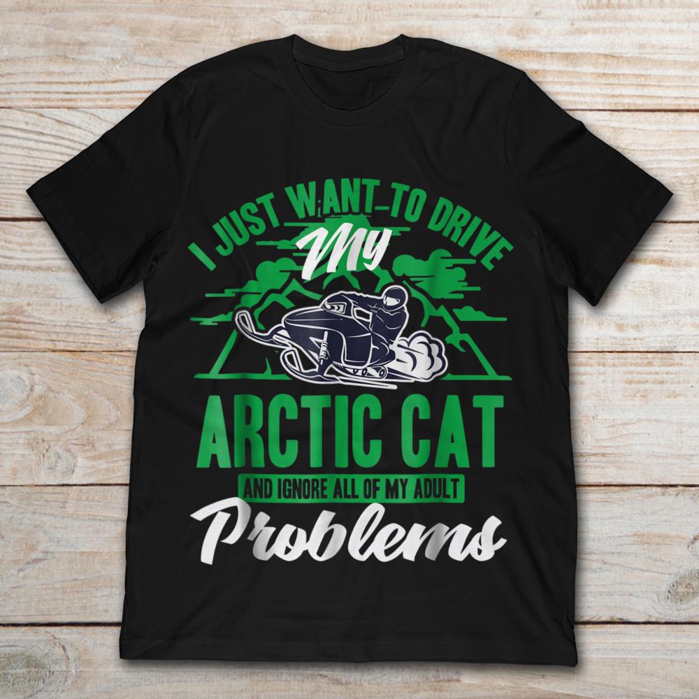 I Just Want To Drive My Arctic Cat And Ignore Problems