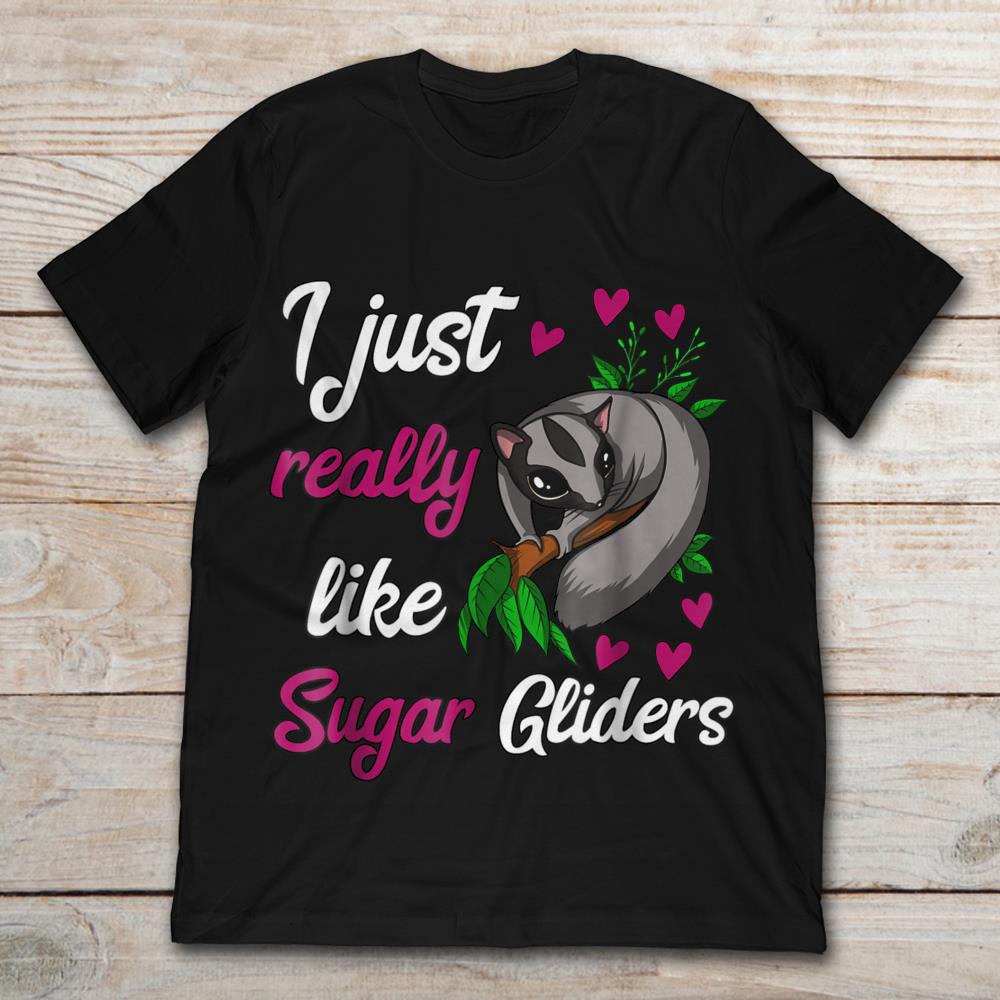 I Just Really Like Sugar Gliders