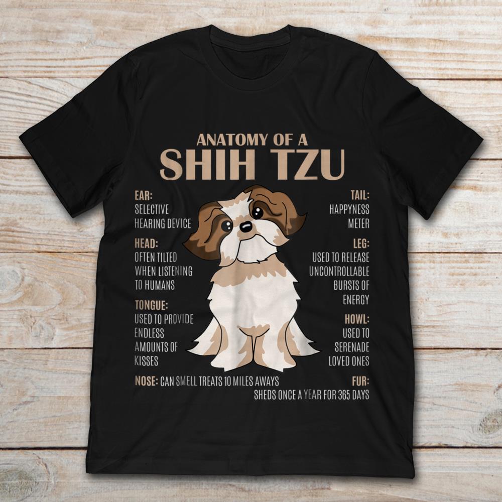 Anatomy Of A Shih Tzu