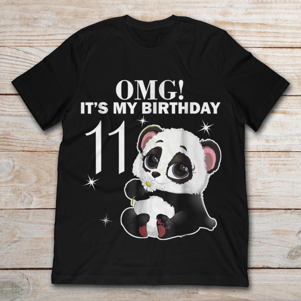 Lovely Baby Panda OMG It's My Birthday 11