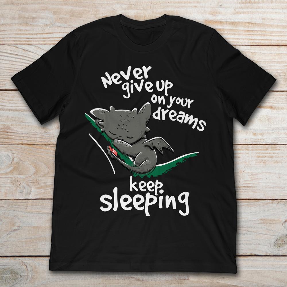 Toothless Never Give Up On Your Dreams Keep Sleeping