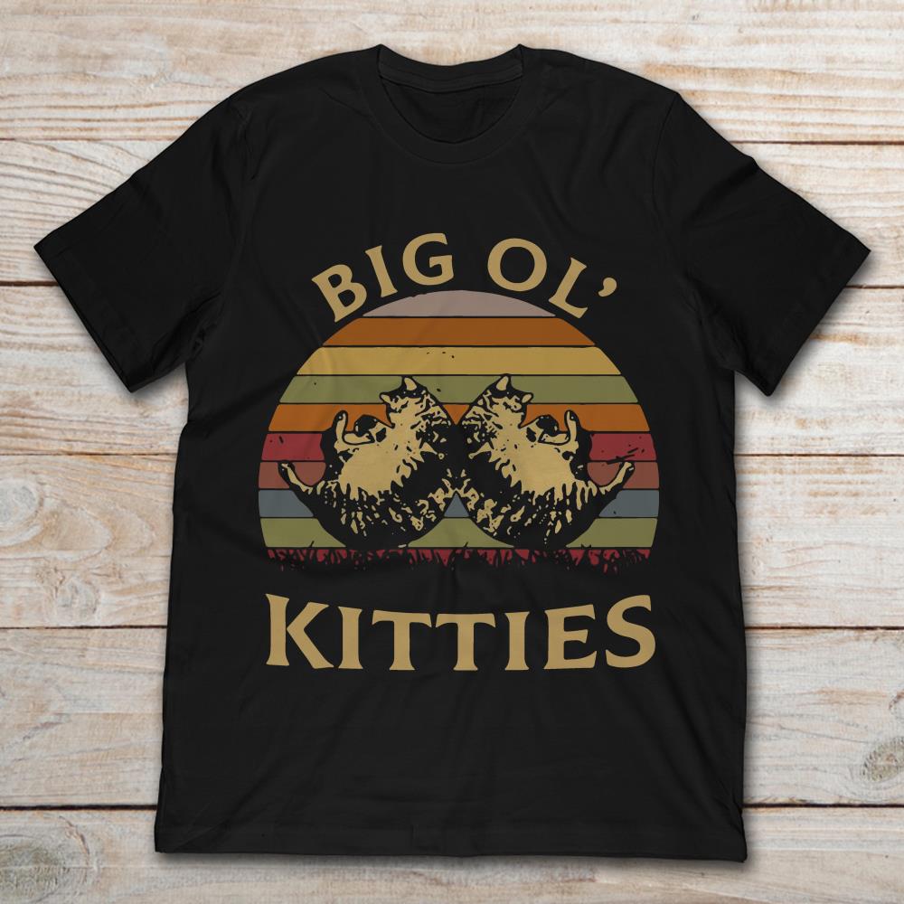 Big Ol' Kitties Funny Crazy Cats