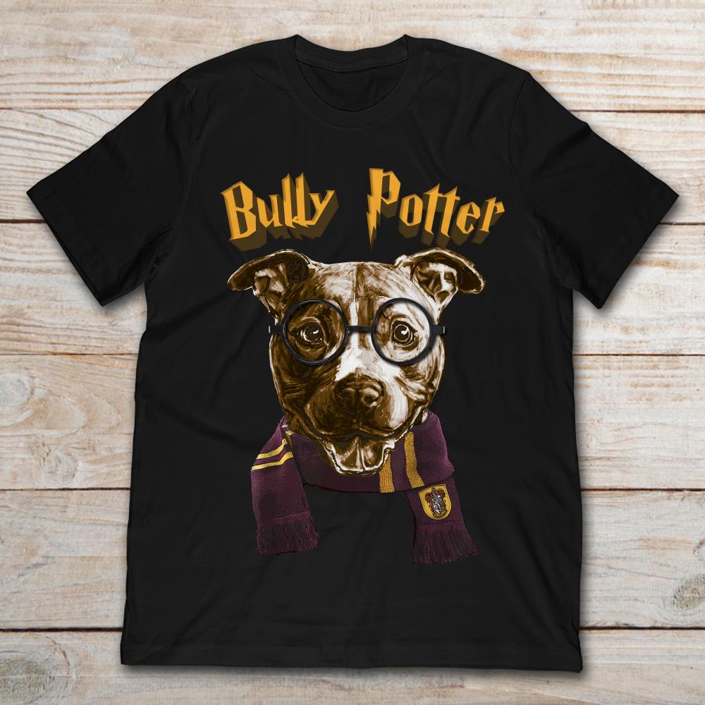 Bully Potter In Hogwarts Scarf