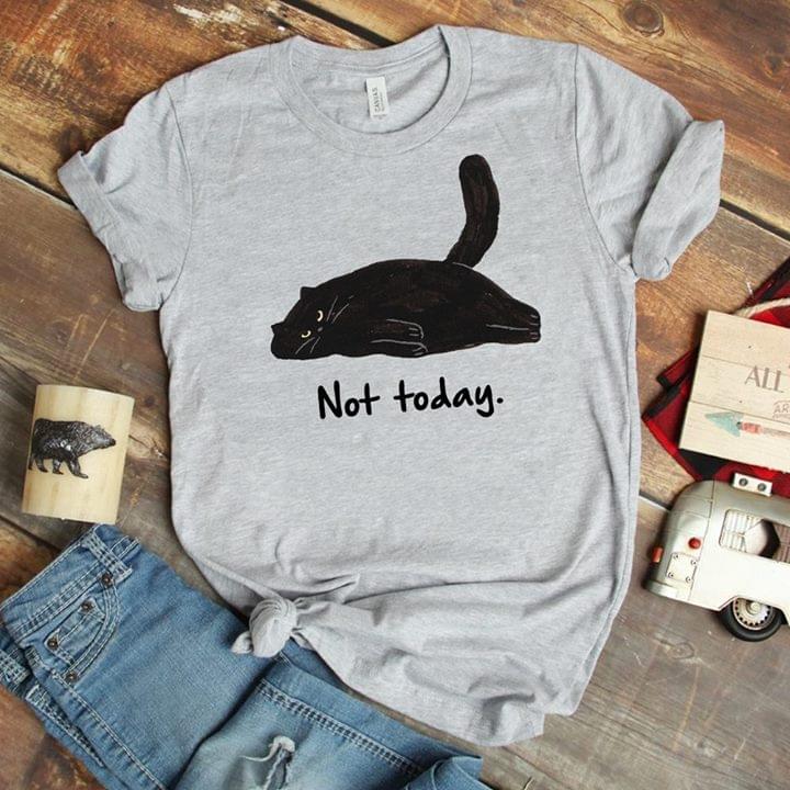 Cat Not Today